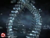 نحوه شکل گیری DNA