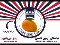 قیمت خرید نهال انبه 09141811520