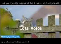 مستند از گربه تا ببر ( قسمت اول )