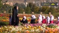 جشنواره گلها در پاییز خرم آباد