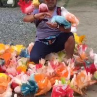 مگر میشه اینهمه زیبایی یکجا جمع بشه!؟