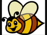 Ay Zanboore Talaayi-- ای زنبور طلایی