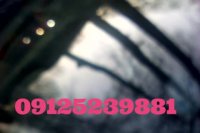 ترمیم شیشه اتومبیل _09125239881 _02144145701 _ 09125239881