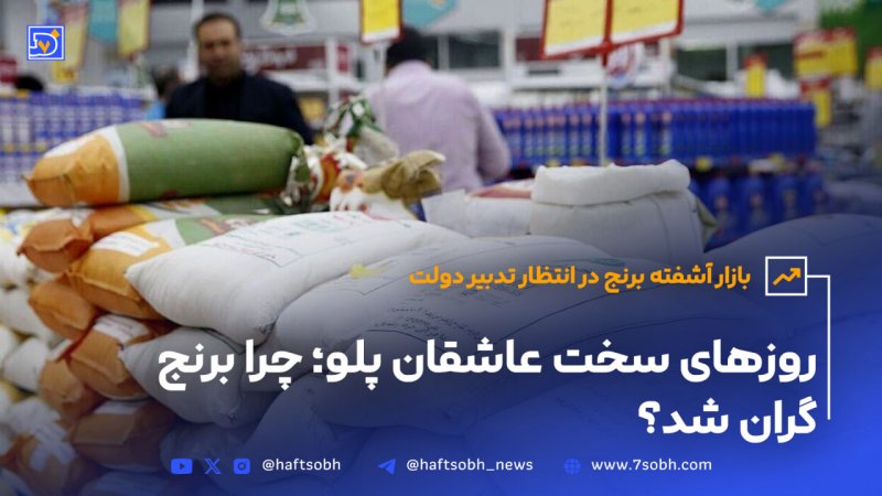روزهای سخت عاشقان پلو چرا برنج گران شد؟