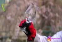 👈 کلرید پتاسیم و لیوان شیشه ای