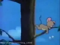 تام و جری جدید - موش گربه جدید - کارتون تام وجری