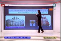 دانش فنی پایه (سبک های طراحی لباس) پایه دهم : دوشنبه 22 اردیبهشت