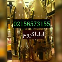 فانتاکروم/قیمت و ساخت دستگاه ابکاری فانتاکروم/قیمت دستگاه مخمل پاش09127692842