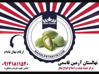 خرید نهال بادام 09141811520