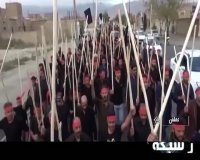 برگزاری مراسم قالی شویان در کاشان