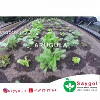 ربات باغبانی