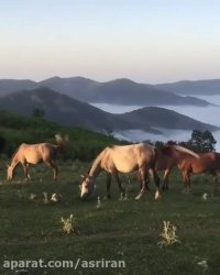 اسب ها روی ابر، در جاده اسالم به خلخال