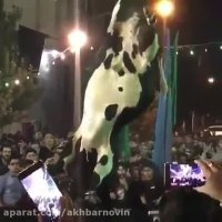 قربانی کردن ثوابه اما با این کارا خیریتی تو کار نمیمونه