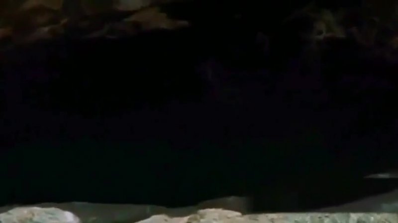 کلیپ تبریک میلاد پیامبر اکرم حضرت محمد (ص)