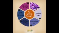 همه چیز درباره زعفران "طلای سرخ" 10 خاصیت باورنکردنی زعفران!
