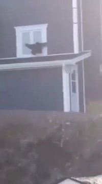 خود درگیری !