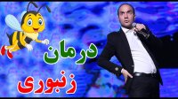 کنسرت خنده حسن ریوندی : درمان زنبوری