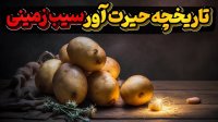 سیب زمینی نجات دهنده دنیا و دگرگون ساز زندگی انسان ها