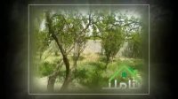 خرید فروش باغچه قشلاق ملارد کد1300