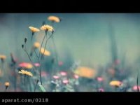 تاب آوری و همدلی