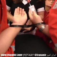 خدمه ی پرواز ترکیش