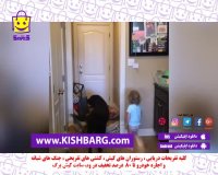 گربه و سگ،خریدو فروش حیوانات،کیش ارزان،شوخی سگ و گربه