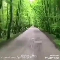 مسیر پارک جنگلی گیسوم