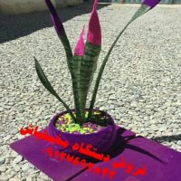 دستگاه مخمل پاش 09127692842