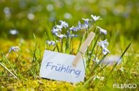 کلیپ اهنگ بهار سرسبز دلم یه سال تازه با صدای محسن ابراهیم زاده