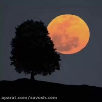 ماه در شکار لحظه ها!!!