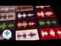 تابلوی فرکانس صدا چیست؟ این ویدئو را از دست ندهید !