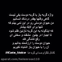 حیوان دوست را با حیوان باز یكى نشماریم