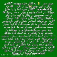 ‍ درود سبز   به کانال #معزه بپیوندید *نگاهی دیگر به این