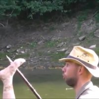 شکار اشتباهی