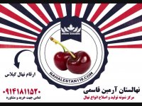 خرید نهال گیلاس 09141811520