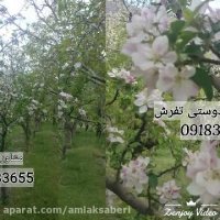کانال تلگرام مشاور املاک مسکونی و کشاورزی در تفرش09183633655