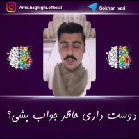 نفوذکلام و سخنوری (حاضر جوابی) : امیرحسین حقیقی