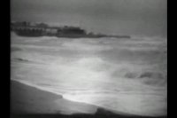 مستند " باد جن "