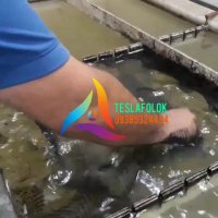 دستگاه هیدروگرافیک 09362420769 فیلم هیدروگرافیک