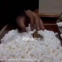 چه قشنگ قند خورد میکنه! اینو باید ببرن کارخانه قند استخدام کنن