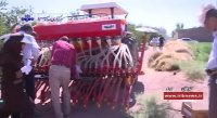 کشت مکانیزه گیاه کینوا برای اولین بار در کرمان
