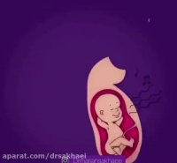 کودک در رحم مادر چه احساسی می کند؟