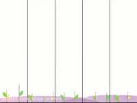 دومین همایش سوارکاری شهر شاپورآباد+بهترینها