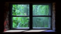 Gentle Rain - Sounds of Rain and Thunder