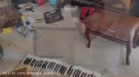 کوک پیانو همراه با تنظیم و رگلاژ کامل پیانوی شما 09125633895