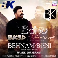 آهنگ هنوزم دوست دارم از بهنام بانی