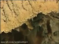 دیدنی های ایران غار علیصدر در همدان