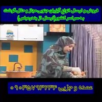 آموزش روش تهیه ته چین ماهی هوور