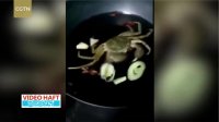 ویدئو پربازدید اما ناراحت‌کننده : خرچنگی که قبل از پخته شدن ، سبزیجات اطرافش را می‌خورد