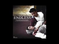 آهنگ فرزاد فرزین بی انتها